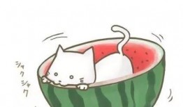 卡通头像小熊吃瓜图文,夏日清凉一夏