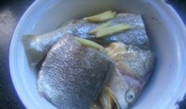 吃完鱼和豆腐可以吃瓜吗,瓜果解腻新选择