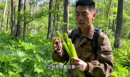 二达子吃瓜视频,揭秘娱乐圈幕后故事