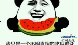 网站吃瓜群众,揭秘网络舆论场中的旁观者与参与者