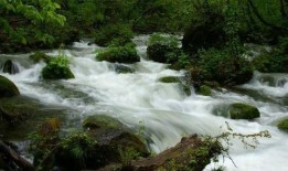 小溪地咖啡吃瓜,吃瓜群众的欢乐聚集地