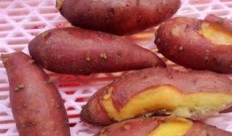 孕妇吃土瓜,营养与安全并重