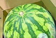 武汉吃瓜最新视频,揭秘街头美食风云录