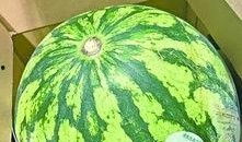 武汉吃瓜最新视频,揭秘街头美食风云录