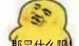 吃瓜专用表情包图片,揭秘吃瓜专用表情包的火爆之谜